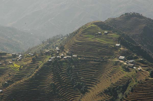 lt2_0115.jpg