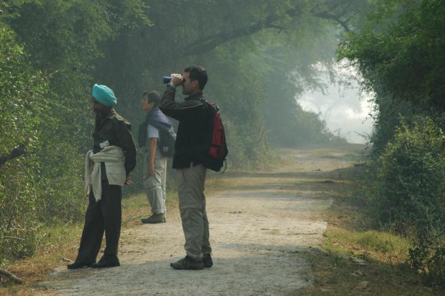 Keoladeo National Park and bird sanctuary