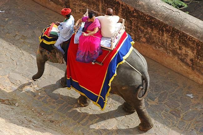 Elephants are available at the entrance to carry people up the hill to the palace.