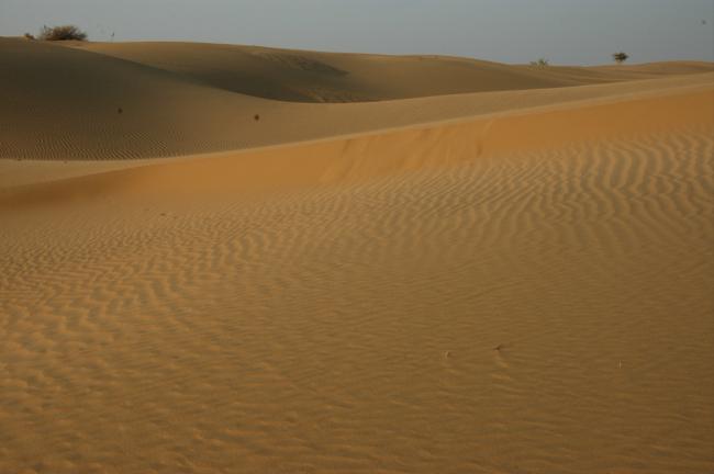 The beautiful simplicity of the Thar desert's dunes