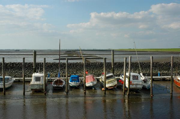 Dsc_0511.jpg