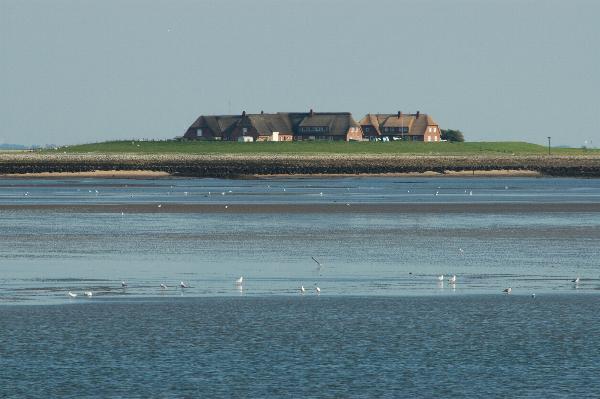 An hour into our ferry ride, we begin to view the various Halligen islands in the distance. This is Hooge, the island we plan to visit for a few days.