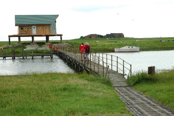 Dsc_0573.jpg