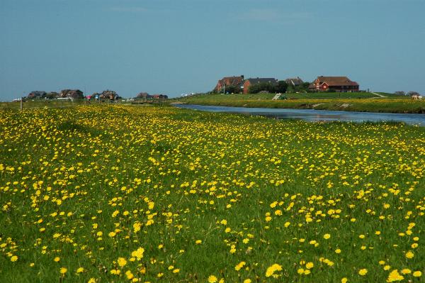 Dsc_0600.jpg