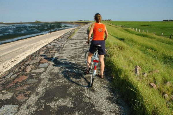 There are very few cars here, and most people use bicycles to get around the island.