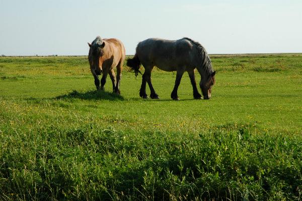 Dsc_0617.jpg