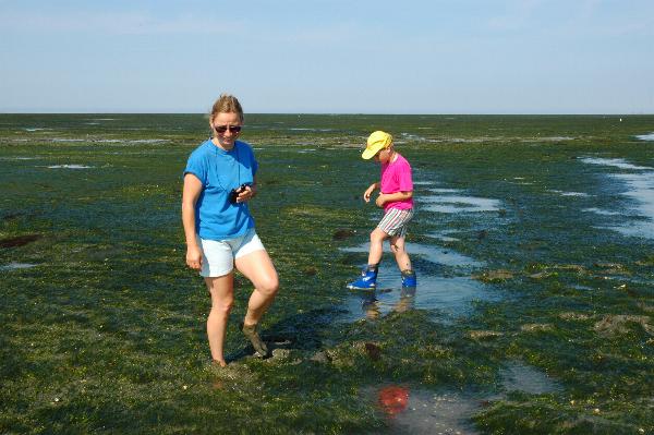 Mud Flats