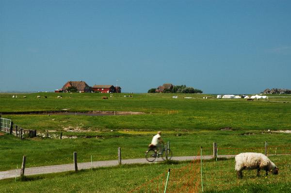 Dsc_0688.jpg