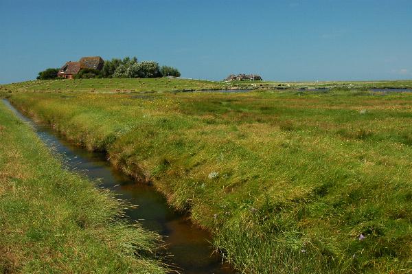 Dsc_0690.jpg
