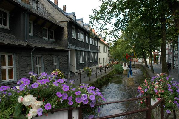 Dsc_0809.jpg
