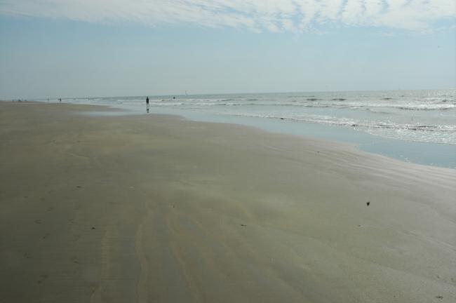 DSC_0143.JPG